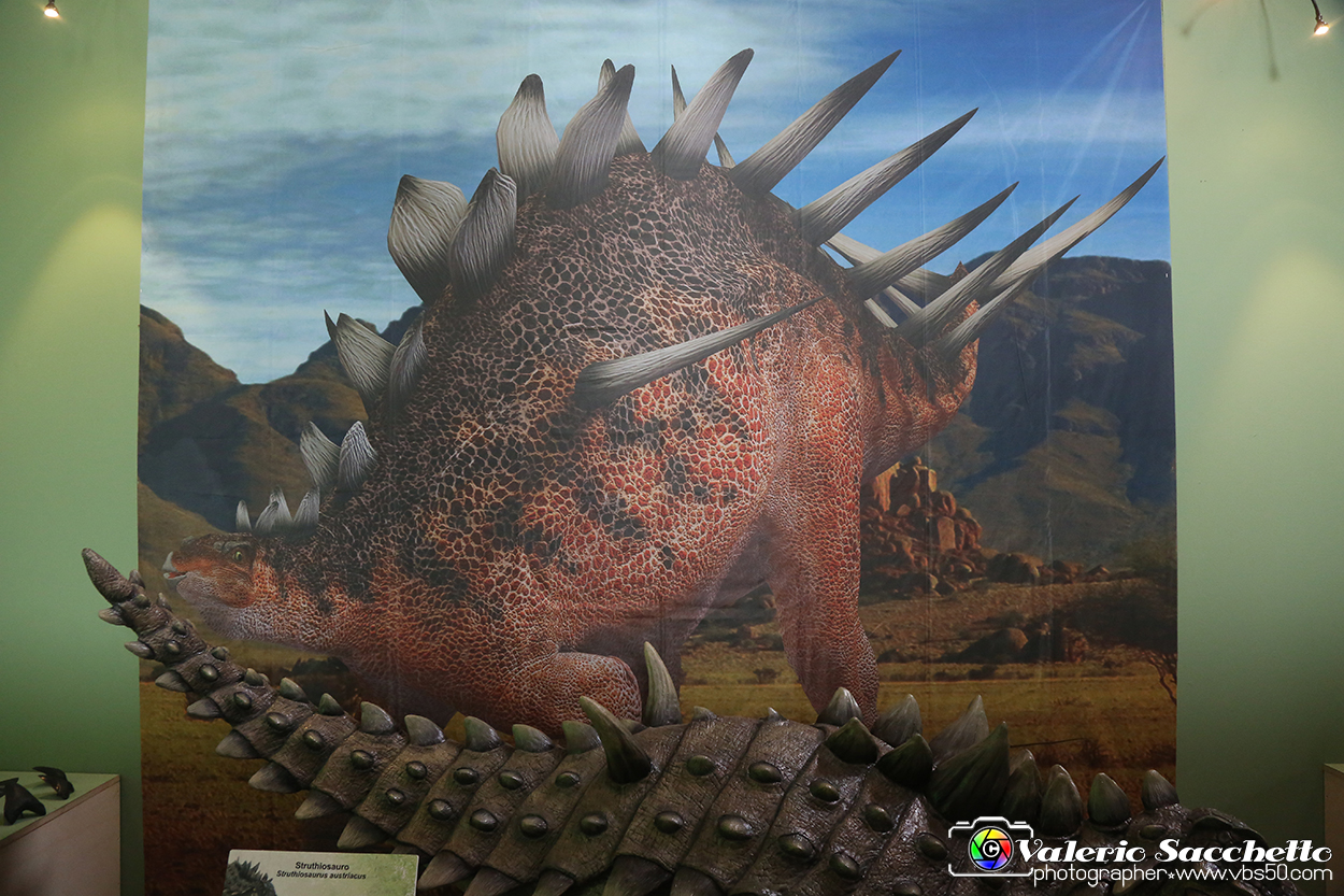 VBS_1071 - Dinosauri. Terra dei giganti.jpg